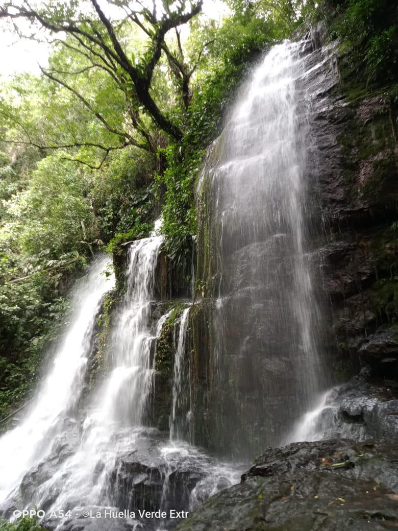 Cascada Las Mieles